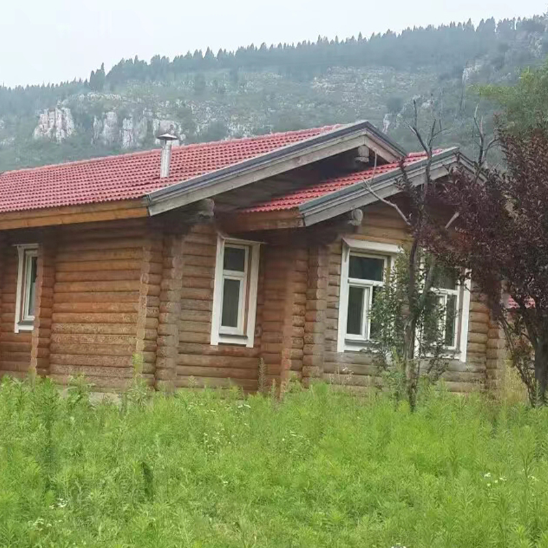 Cameram Log Cameram Log