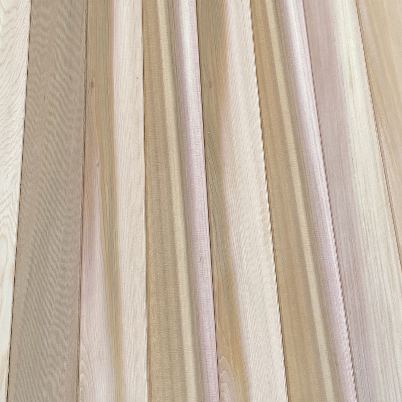 Western Red Cedar Lingua et Sulcus murum panel Western Red Cedar Lingua et Sulcus murum panel