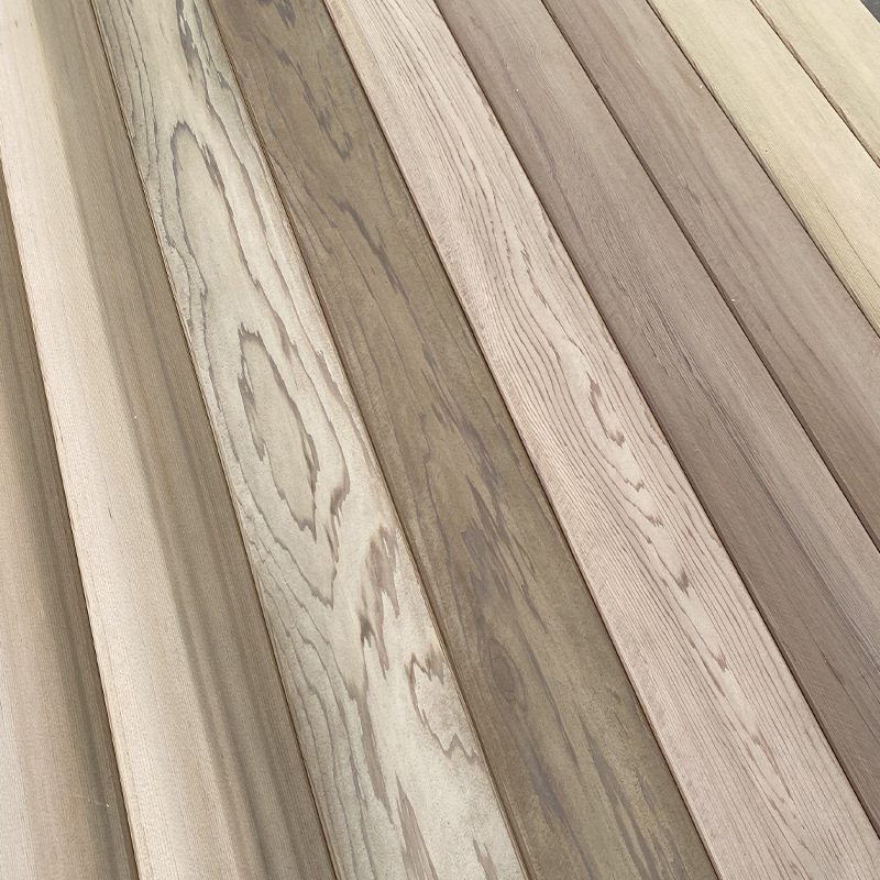 Western Red Cedar Lingua et Sulcus murum panel